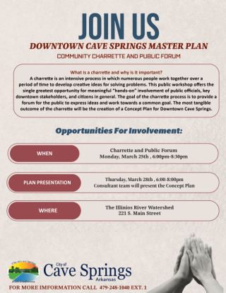 Give input on the future of downtown Cave Springs.