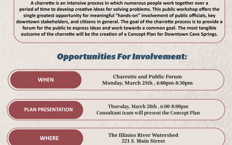 Give input on the future of downtown Cave Springs.